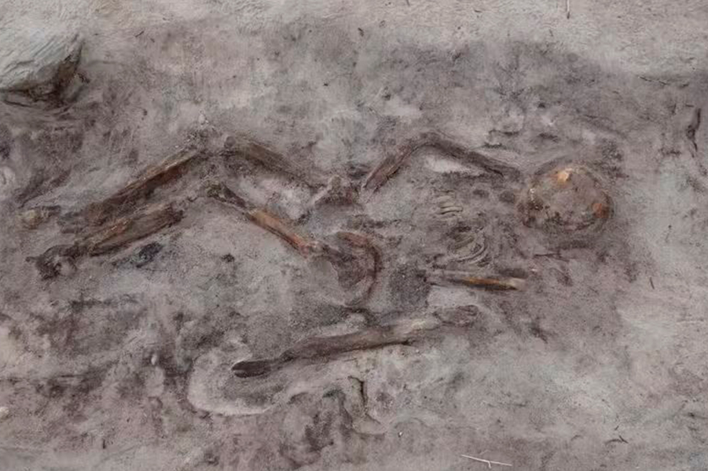 Túmulo de mulher viking enterrada com cachorro é encontrado por arqueólogos