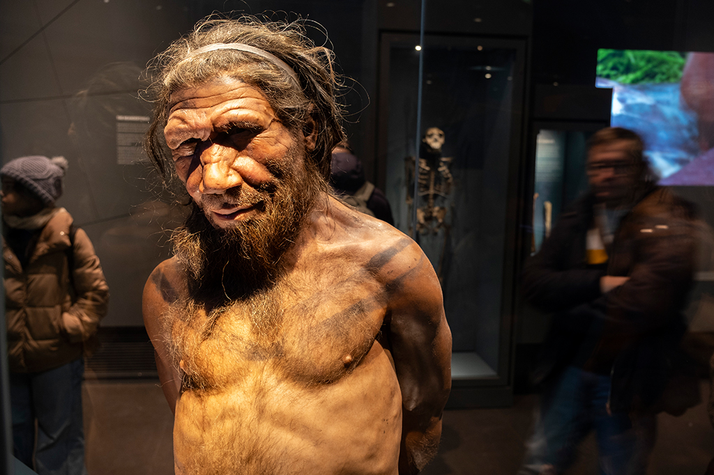 Pele, olhos e cabelo: qual era a real aparência dos neandertais?