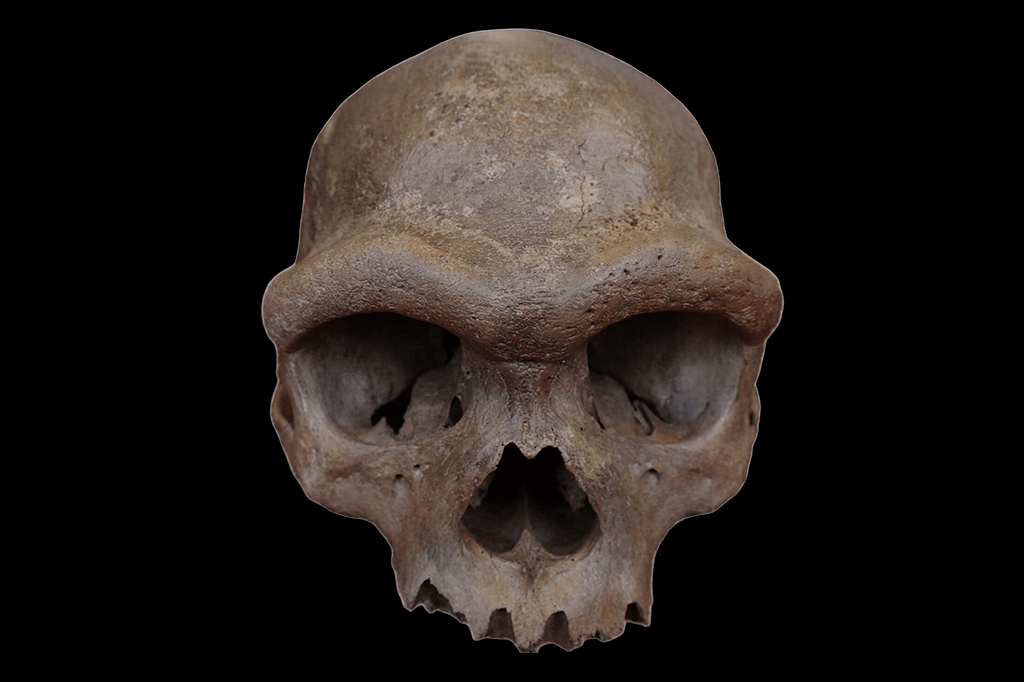 DNA denisovano pode ter ajudado os primeiros humanos das Américas