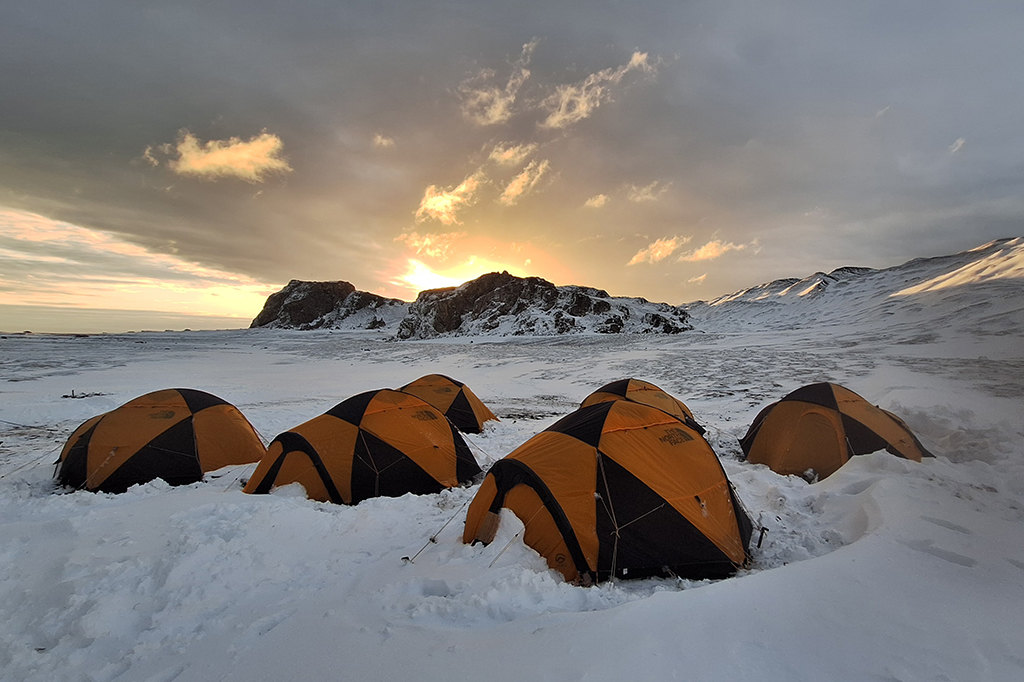 Cientistas brasileiros descrevem novas espécies de fungos na Antártica