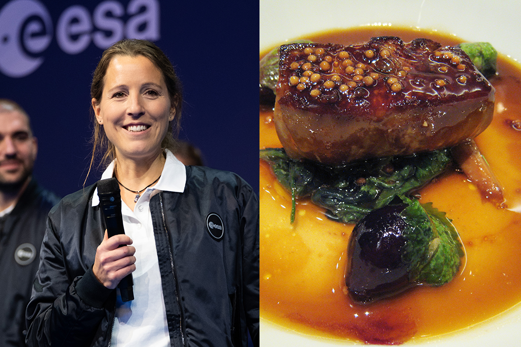 Astronauta francesa terá refeições estrela Michelin no espaço; veja o cardápio.