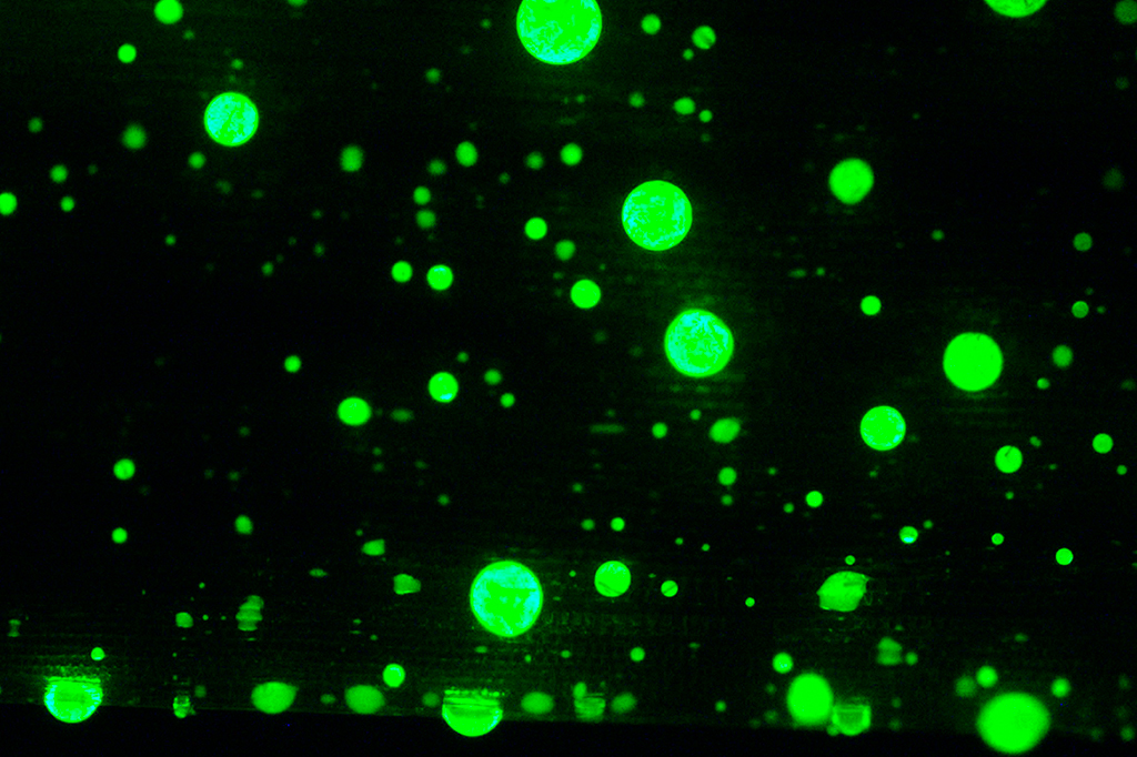Cientistas criaram lasers comestíveis. Para que eles servem?