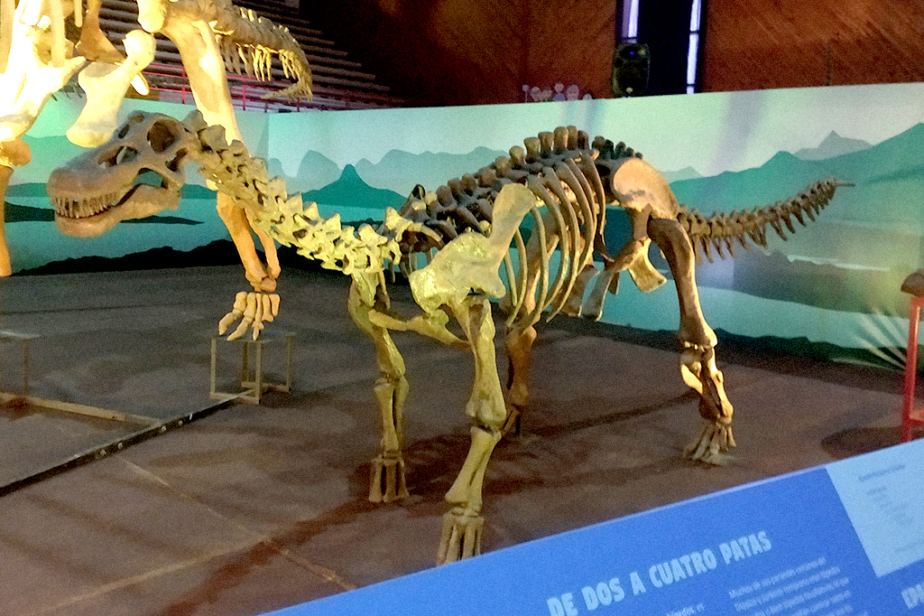 Dinossauros de pescoço longo conseguiam se erguer sobre duas patas, revela estudo
