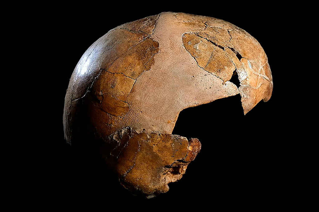 Fóssil de 140 mil anos revela o mais antigo cruzamento entre Homo sapiens e neandertais