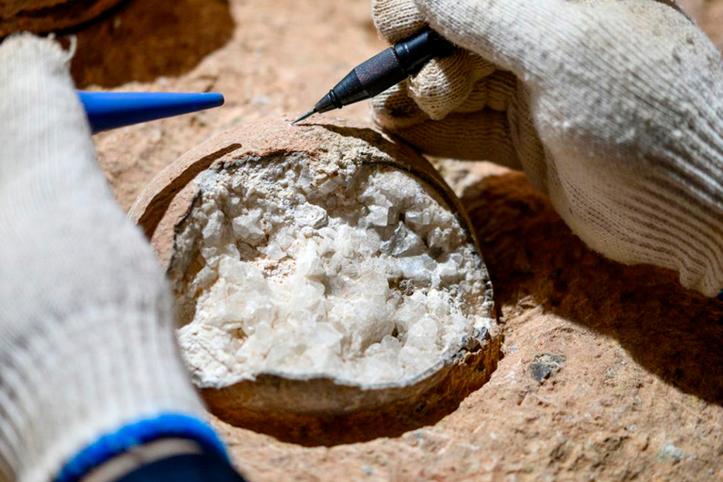 Pela primeira vez, cientistas datam casca fossilizada de ovo de dinossauro