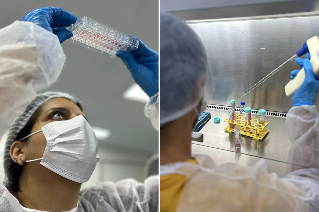 Nada de camundongos: como o maior banco de células do Brasil impulsiona a ciência sem testes em animais