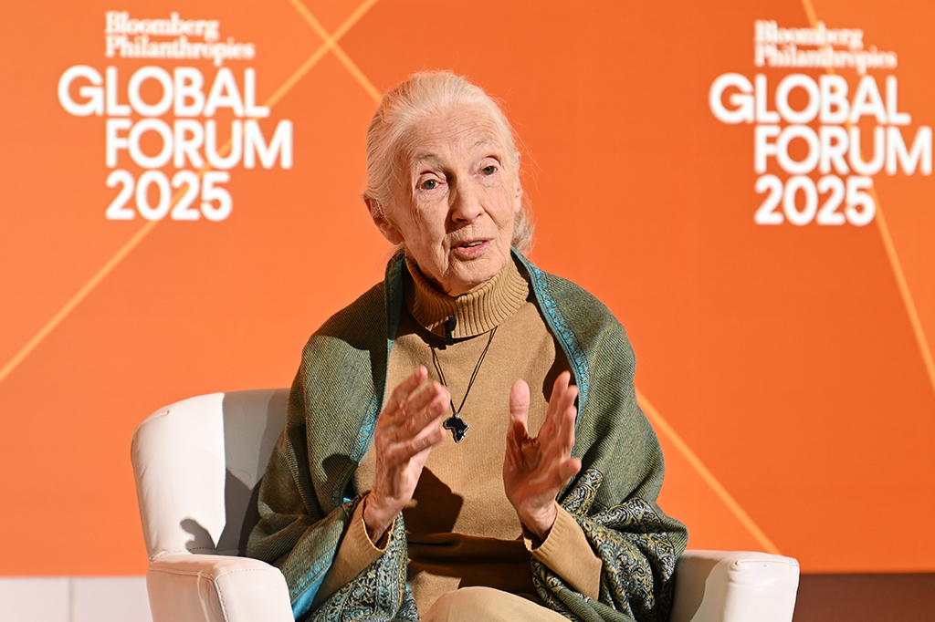 0210-Jane-Goodall-layout_site5 Fotografia de Jane Goodall discursa no palco do Fórum Global Bloomberg Philanthropies 2025.