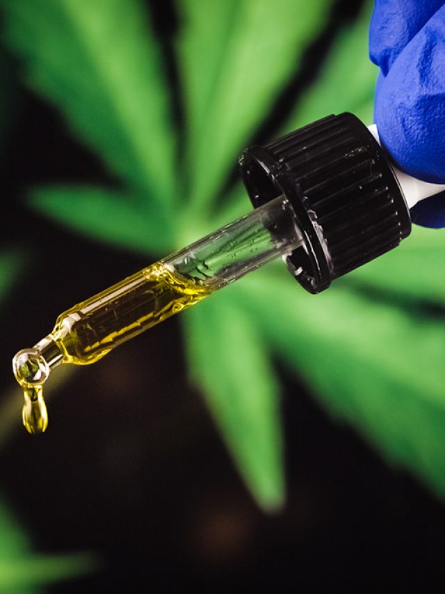cropped-0410-cannabis-layout_site.jpg