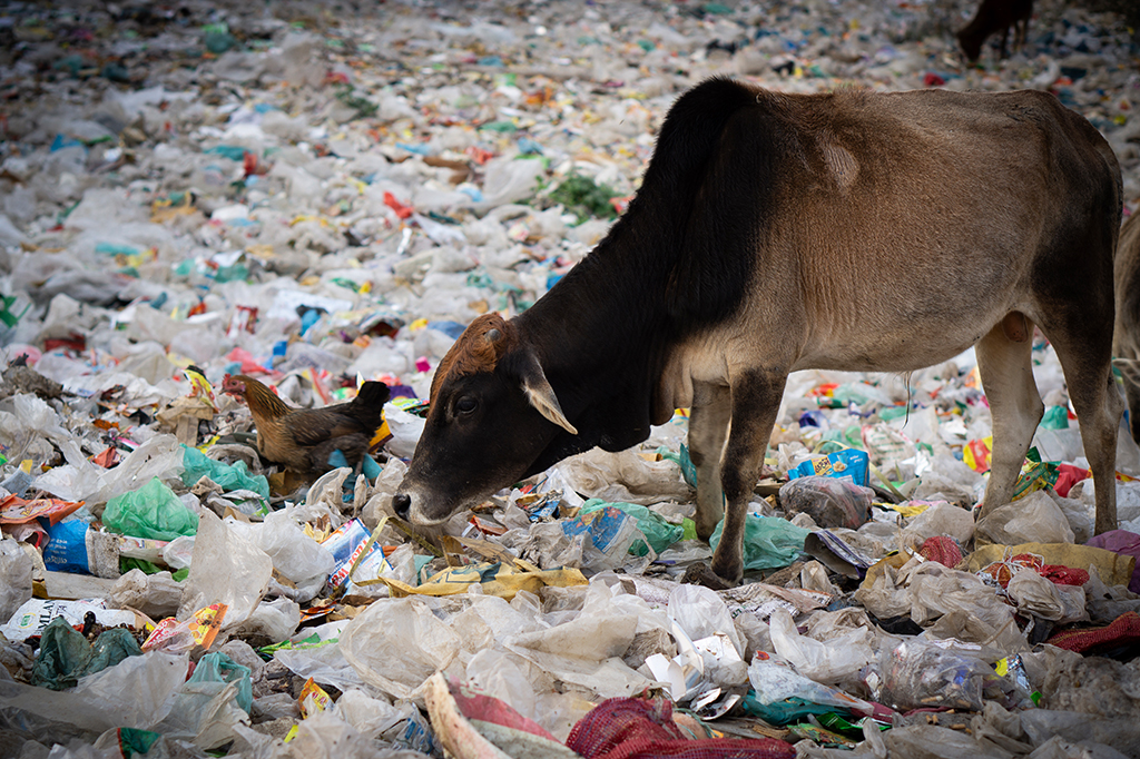 Como estão as emissões de metano no mundo?