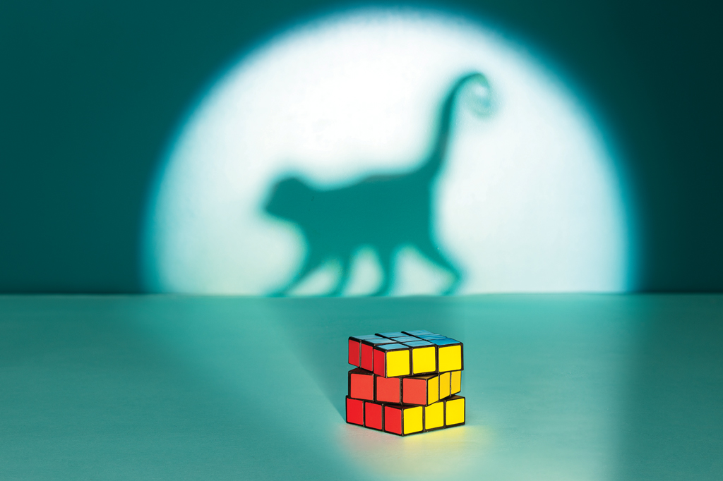 Imagem, de tom esverdeado, projetando a sombra de um macaco na parede. Em primeiro plano, v&ecirc;-se, um cubo m&aacute;gico torcido.