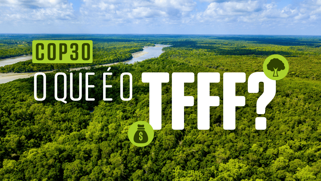 Fundo Florestas Tropicais para Sempre: entenda como será usado o dinheiro