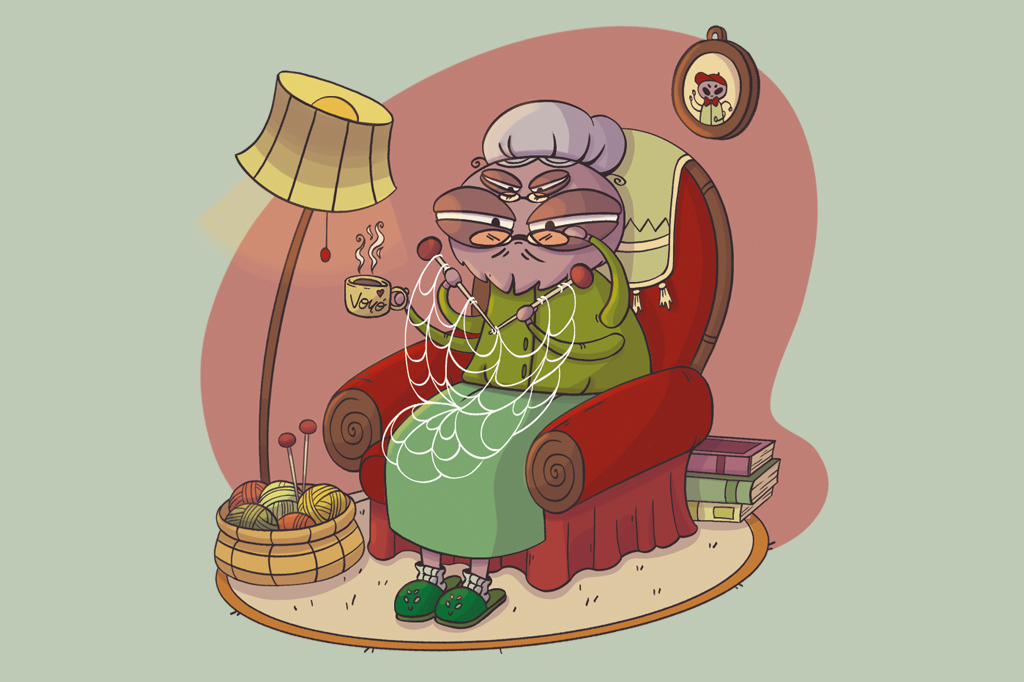 SI_484_Oráculo_Teia_de_aranha