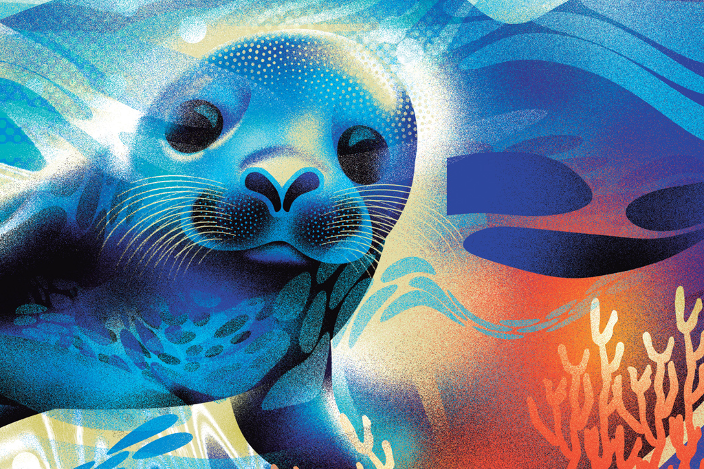 Ilustração multicolorida de uma foca.